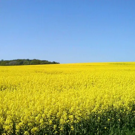 Ruegen_fewo 123 公寓 *